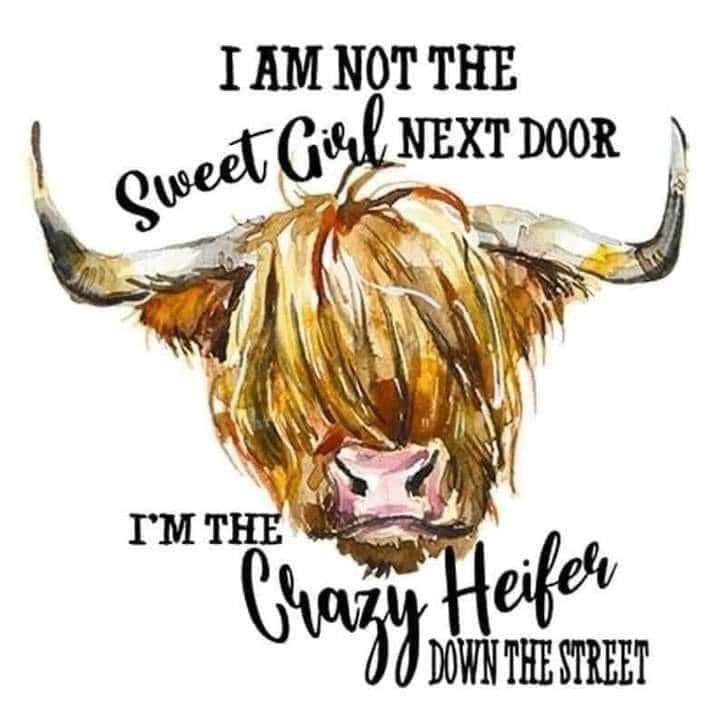 I am not the sweet girl next door I'm the crazy heifer down the street - Coffee Mug